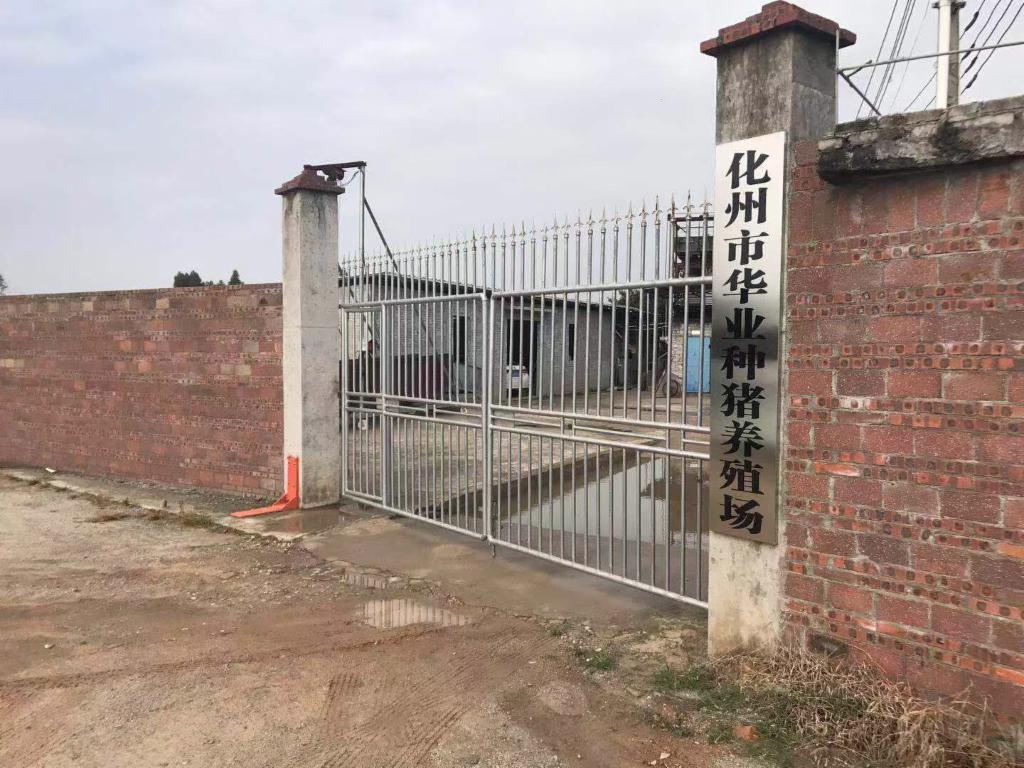 化州华业养殖场 招聘 4人